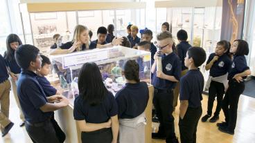 Sixth grade students explore the Mines Geology Museum.
