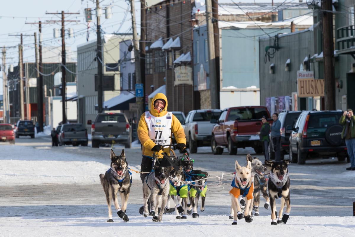 Alan Stevens rides on a sled pulled by dogs.