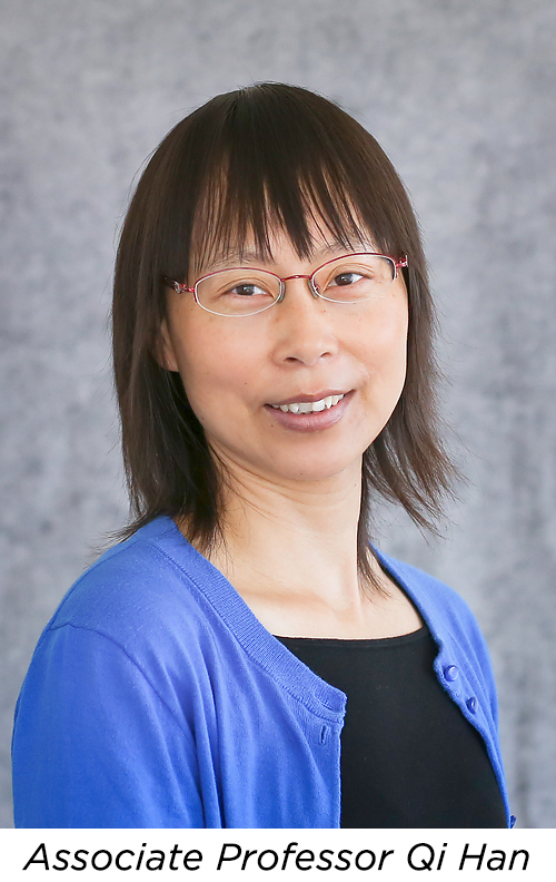 Headshot photo of Qi Han, associate professor of Computer Science
