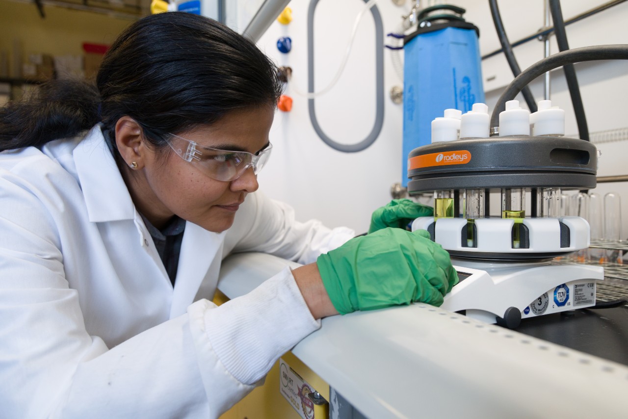 Ramya Kumar wins NSF CAREER Award for research on genome editor ...