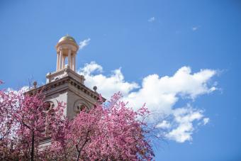 Guggenheim in Spring 2019