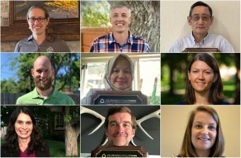 2019 2020 faculty award winners collage