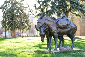 Burro statue in the fall light