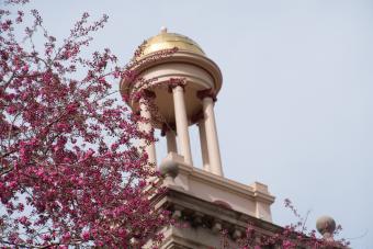 Guggenheim Hall in spring