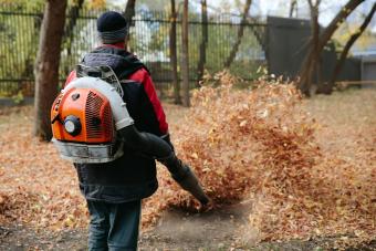 Gas-powered leaf blower