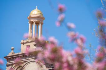 Guggenheim Hall tower with spring flowers