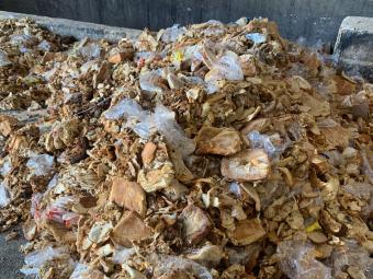 Food waste before it becomes animal feed