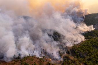 wildfire smoke on forested slope