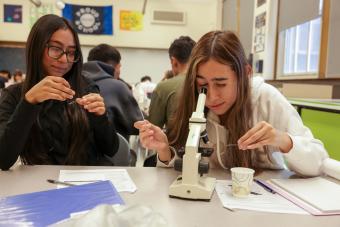 two female students look at slides in a microscope