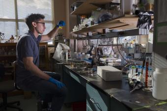 male researcher sitting at lab bench in front of window looks at liquid in vial