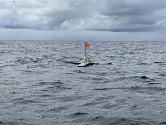 ocean with red flag floating in the middle