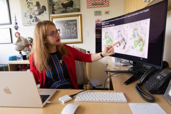 sebnem duzgun works at her desk pointing at image on computer monitor