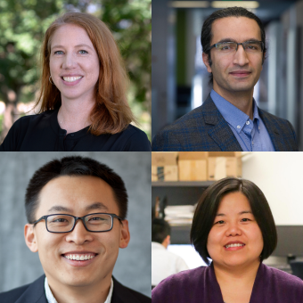 Heather Fester, Pejman Tahmasebi, Xiaoli Zhang, Bo Wu