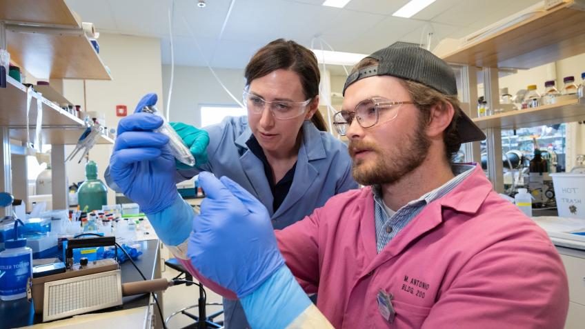 Jen Shafer and Klemmer Nicodemus inspect material in a nuclear engineering lab on the Mines campus