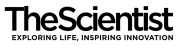 The Scientist