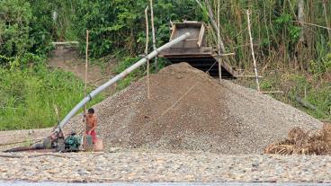 Illegal gold mining along the Madre de Dios River is often a dangerous practice that can have significant environmental and health risks. Photo by Ryan M. Bolton/Shutterstock.com