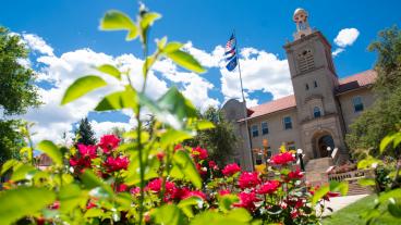 Flowers and Guggenheim