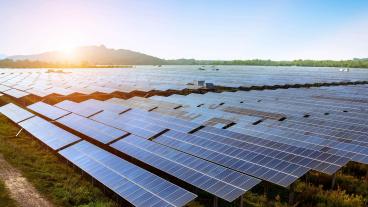 Solar panels in field