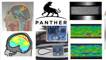 Brain scans, panther logo, helmets