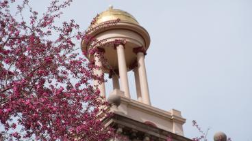 Guggenheim Hall in spring