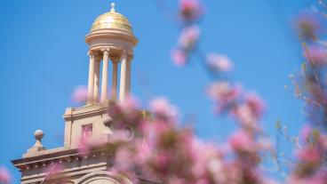 Guggenheim Hall tower with spring flowers