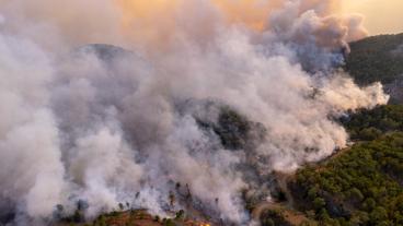 wildfire smoke on forested slope