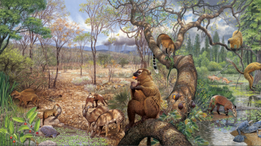 USGS mural of Paleocene Period