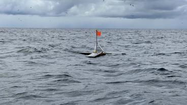 ocean with red flag floating in the middle