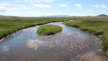 South Platte River near Hartsel, Colorado. Credit: Jeffrey Beall