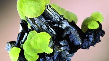 Electric-green prehnite on epidote base. Photo credit: Harold & Erica Van Pelt