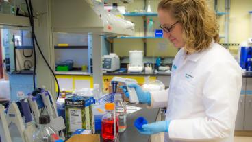 Mines assistant professor Melissa Krebs in the lab