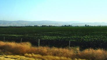 California's Central Valley