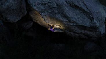 Physics student Martin Kuhnel rock climbing outdoors