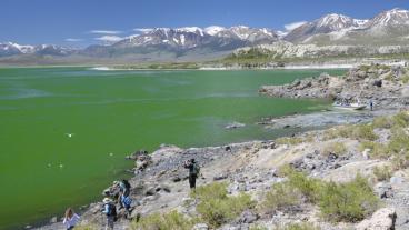 Mono Lake