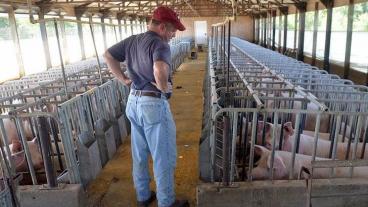 A Colorado School of Mines professor is part of a team of researchers working to develop a commercially viable fertilizer that farmers could produce themselves using agricultural wastewater.